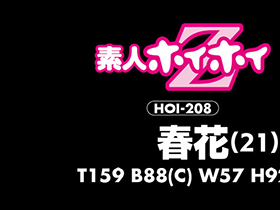 ホイホイクール 4 素人ホイホイZ・個人撮影・美人・マッチングアプリ・ハメ撮り・素人・SNS・顔射・美乳・清楚・飲酒・電マ・2発射　サンプル画像03